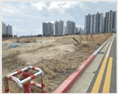  2025Ÿ264  ׽ ϱ  θ 1126     ()