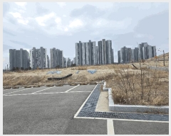  2025Ÿ264  ׽ ϱ  θ 1126     ()