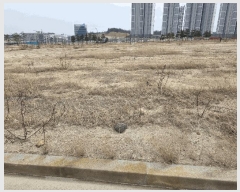  2025Ÿ264  ׽ ϱ  θ 1126     ()