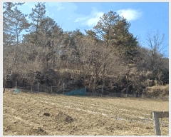  2025Ÿ279  ׽ ϱ ű ݰ 643     (1)