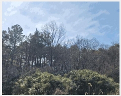  2025Ÿ279  ׽ ϱ ű ݰ 643     (1)