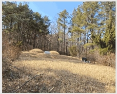  2025Ÿ279  ׽ ϱ ű ݰ 643     (1)