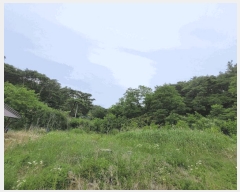  2025Ÿ300  ׽  õ  156-36     (Ӿ)