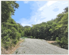  2025Ÿ300  ׽  õ  156-36     (Ӿ)