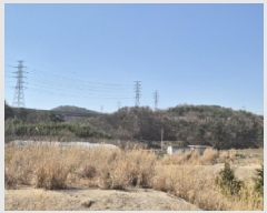  2025Ÿ300  ׽  õ  156-36     (Ӿ)