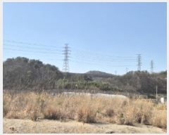  2025Ÿ300  ׽  õ  156-36     (Ӿ)