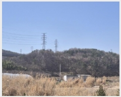  2025Ÿ300  ׽  õ  156-36     (Ӿ)