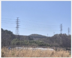  2025Ÿ300  ׽  õ  156-36     (Ӿ)