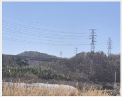  2025Ÿ300  ׽  õ  156-36     (Ӿ)