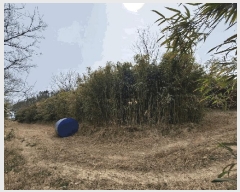  2025Ÿ305  ׽ ϱ   412-2     (1)