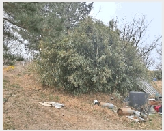  2025Ÿ305  ׽ ϱ   412-2     (1)