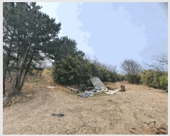  2025Ÿ305  ׽ ϱ   412-2     (1)