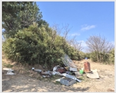  2025Ÿ305  ׽ ϱ   412-2     (1)