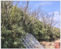  2025Ÿ305  ׽ ϱ   412-2     (1)