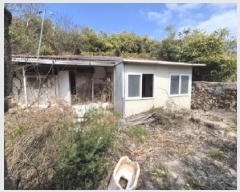  2025Ÿ315  ׽ ϱ  ĥ 431     ()