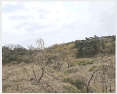  2025Ÿ315  ׽ ϱ ûϸ  440-2     (1)