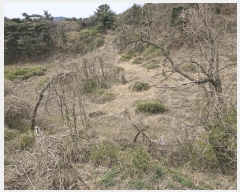  2025Ÿ315  ׽ ϱ ûϸ  440-2     (1)