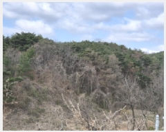  2025Ÿ315  ׽ ϱ ûϸ  440-2     (1)