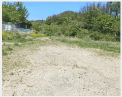  2025Ÿ335  ׽  ظ  296     ()