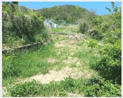  2025Ÿ335  ׽  ظ  296     ()