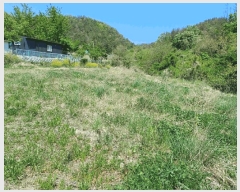  2025Ÿ335  ׽  ظ  296     ()