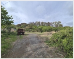  2025Ÿ335  ׽  ظ  296     ()