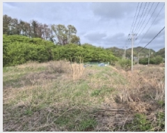  2025Ÿ335  ׽  ظ  296     ()