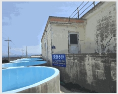  2025Ÿ340  ׽  ȣ̰ 縮 45     ð