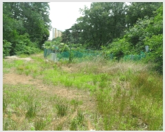  2025Ÿ��385 ��� ���׽� ���� ��õ�� ���� 718-2     ����(��)���