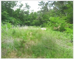  2025Ÿ��385 ��� ���׽� ���� ��õ�� ���� 718-2     ����(��)���