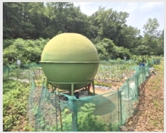  2025Ÿ��385 ��� ���׽� ���� ��õ�� ���� 718-2     ����(��)���