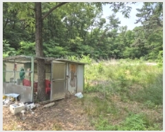  2025Ÿ��385 ��� ���׽� ���� ��õ�� ���� 718-2     ����(��)���