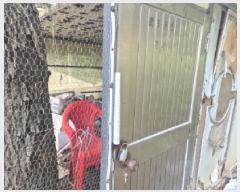  2025Ÿ��385 ��� ���׽� ���� ��õ�� ���� 718-2     ����(��)���