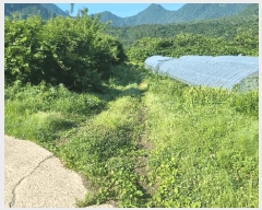  2025Ÿ��390  �����