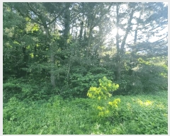  2025Ÿ��390  �����