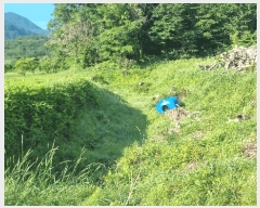  2025Ÿ��390  �����