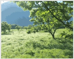  2025Ÿ��390  �����