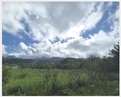  2025Ÿ��390  �����