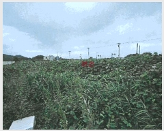  2025Ÿ��410 ��� ���׽� ���� ���ظ� ������ 23-10     ����(��1)���