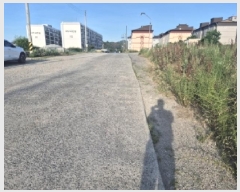  2025Ÿ��410 ��� ���׽� ���� ���ظ� ������ 23-10     ����(��1)���