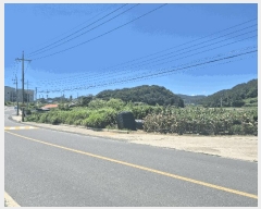  2025Ÿ��425  �����