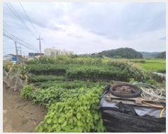  2025Ÿ��425  �����