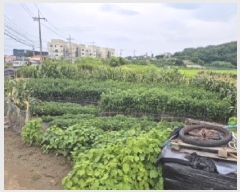  2025Ÿ��425  �����