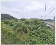  2025Ÿ��425  �����