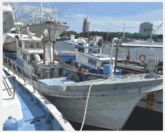  2025Ÿ470 ׽          ڰ