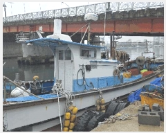  2025Ÿ��520 ���׽� ȣ�̰���         ���ڰ��