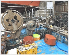  2025Ÿ��520 ���׽� ȣ�̰���         ���ڰ��