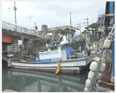  2025Ÿ��520 ���׽� ȣ�̰���         ���ڰ��