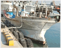  2025Ÿ��540 ���׽� ��������         ���ڰ��