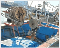  2025Ÿ��540 ���׽� ��������         ���ڰ��